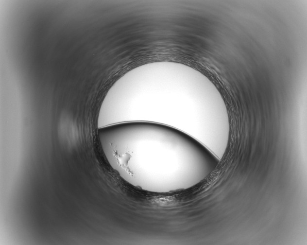 X0000096420283200801241009