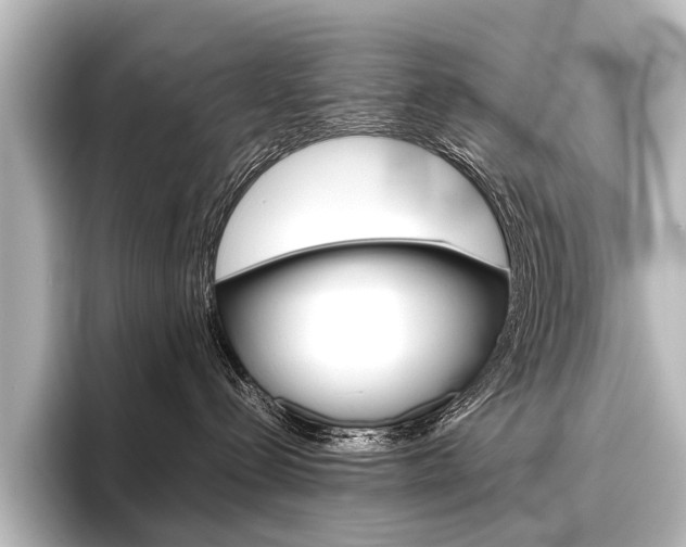 X0000096420288200801241009