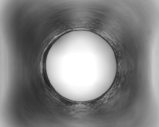 X0000096420290200801241009