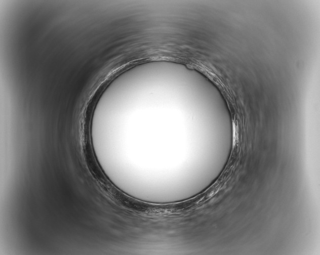 X0000096420291200801241009