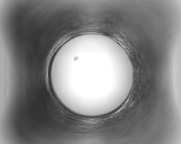 X0000096420293200801241009