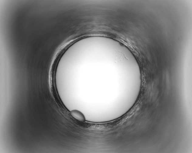 X0000096420294200801241009