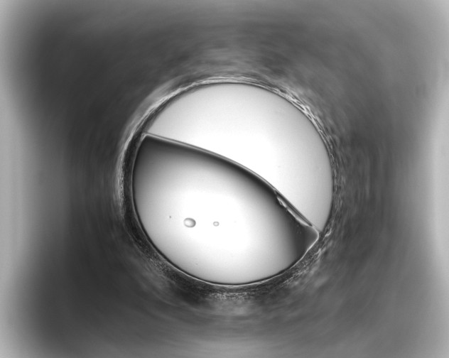X0000096420296200801241009