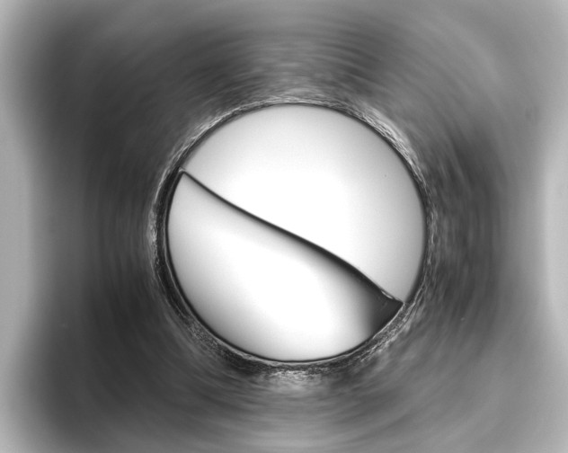 X0000096420298200801241009