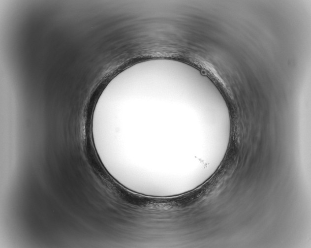 X0000096420299200801241009
