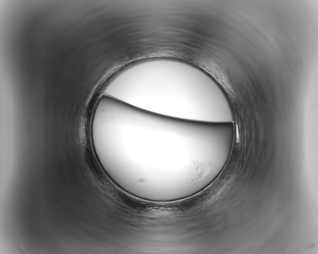 X0000096420300200801241009