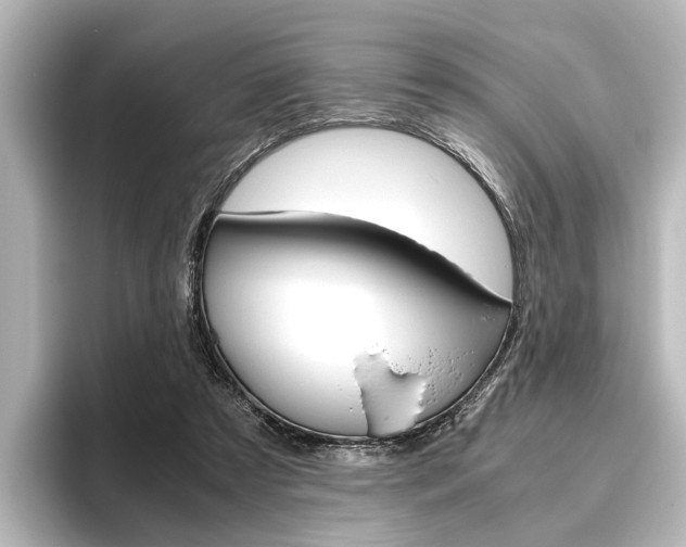 X0000096420305200801241009