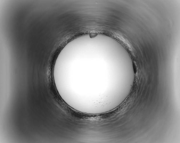 X0000096420306200801241009