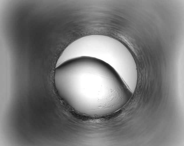 X0000096420307200801241009