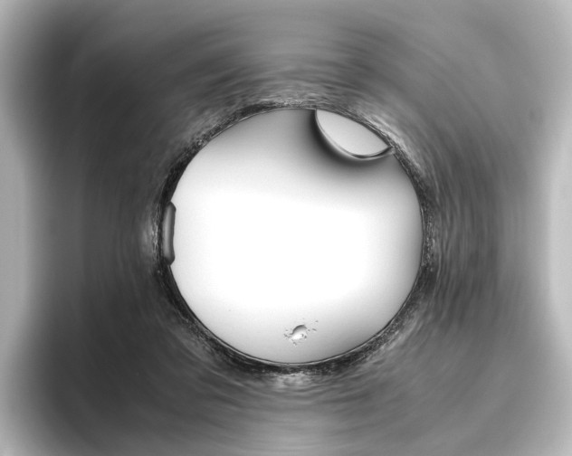 X0000096420309200801241009