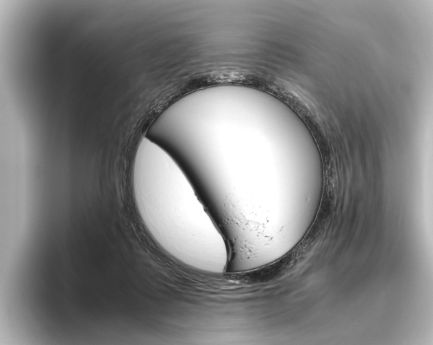 X0000096420315200801241009