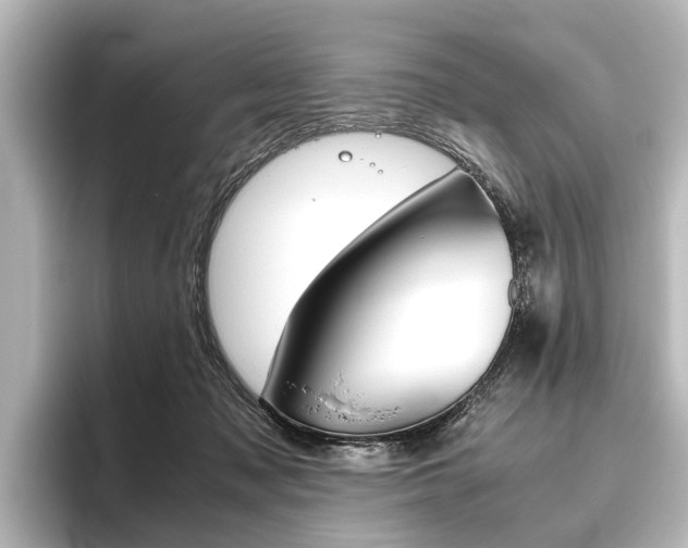 X0000096420317200801241008
