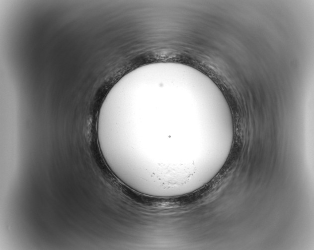 X0000096420319200801241008