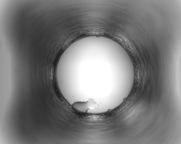X0000096420326200801241008