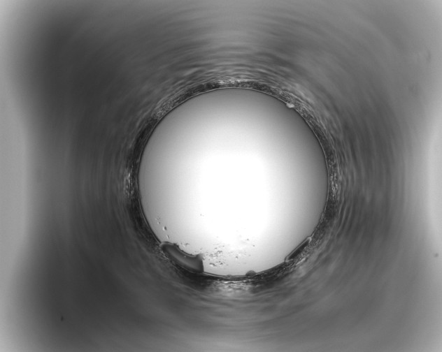 X0000096420327200801241008