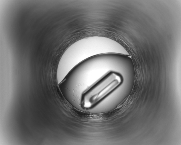X0000096420328200801241008