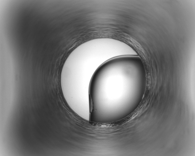 X0000096420329200801241008