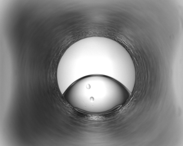 X0000096420336200801241008