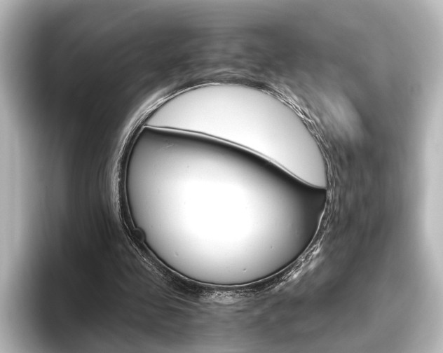 X0000096420341200801241008