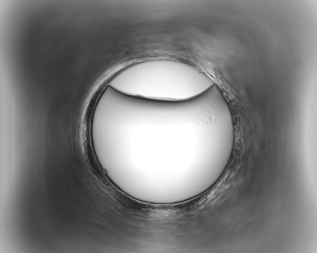 X0000096420342200801241008