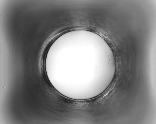 X0000096420343200801241008