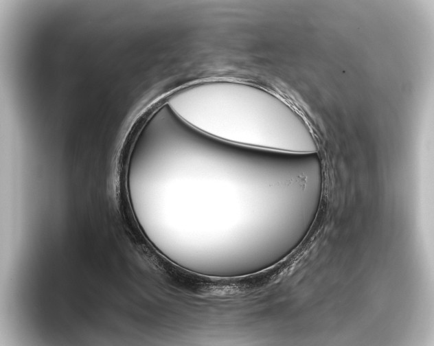 X0000096420344200801241008