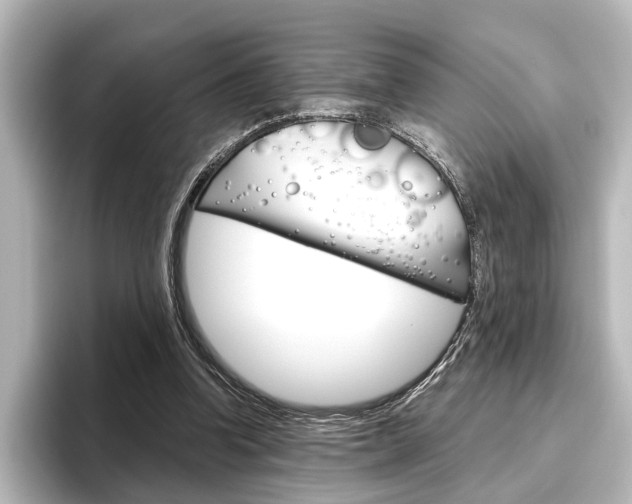 X0000096420346200801241008