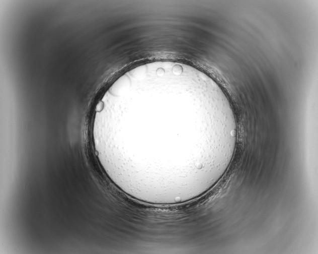 X0000096420347200801241008