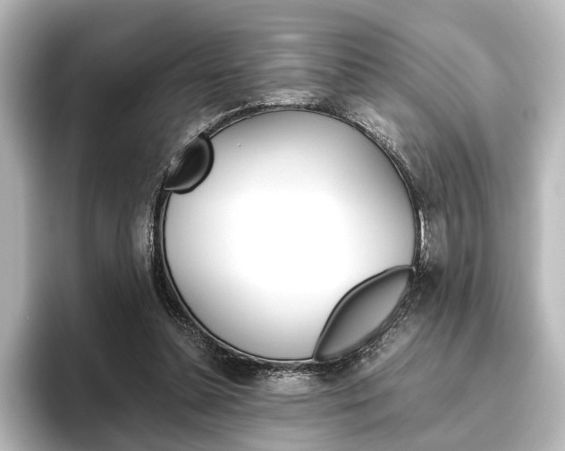 X0000096420348200801241008