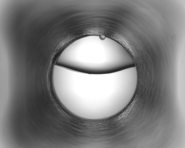 X0000096420349200801241008