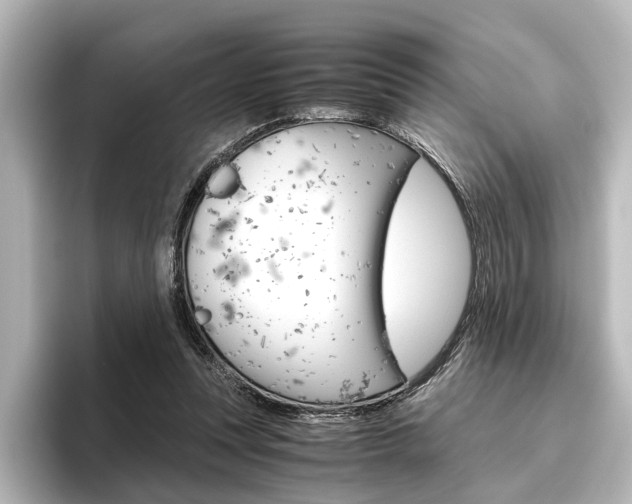 X0000096420351200801241008