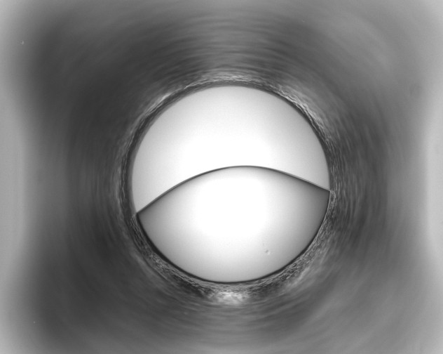 X0000096420352200801241008