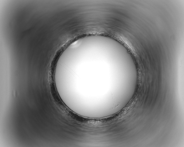 X0000096420354200801241008