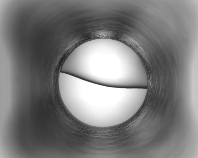 X0000096420355200801241008