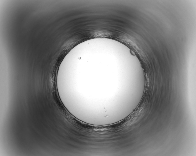 X0000096420357200801241008