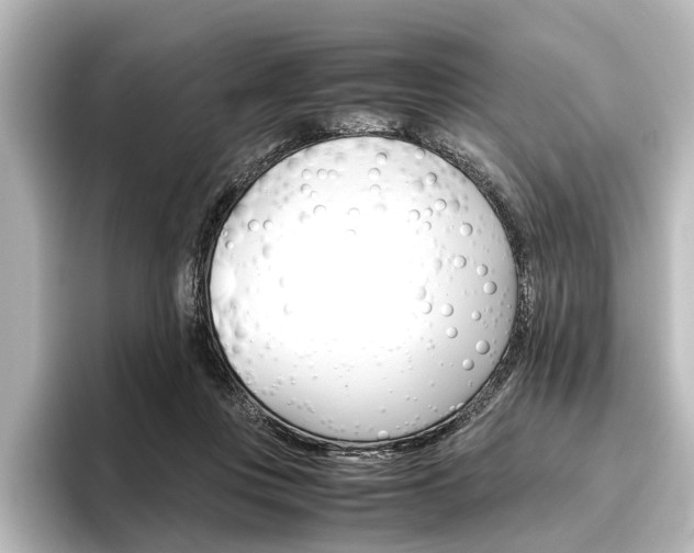 X0000096420359200801241008