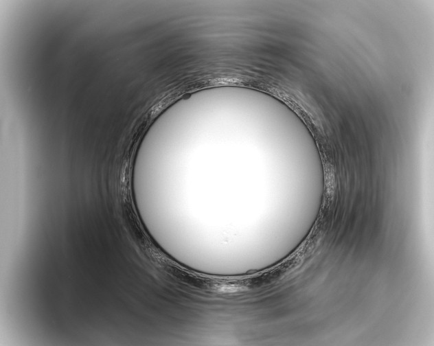 X0000096420360200801241008