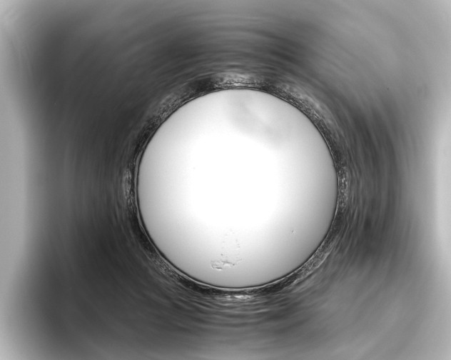 X0000096420361200801241008