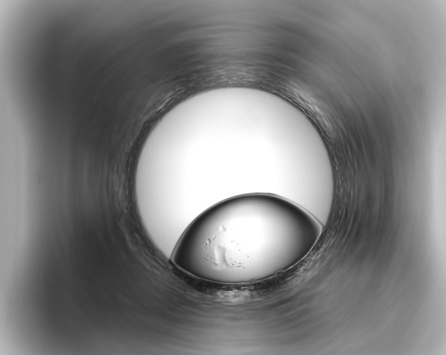 X0000096420362200801241008