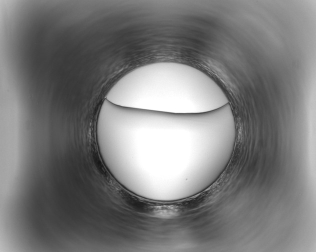 X0000096420363200801241008