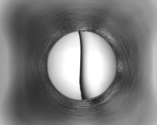 X0000096420365200801241008