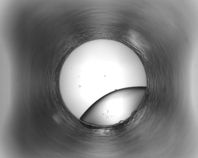 X0000096420366200801241008