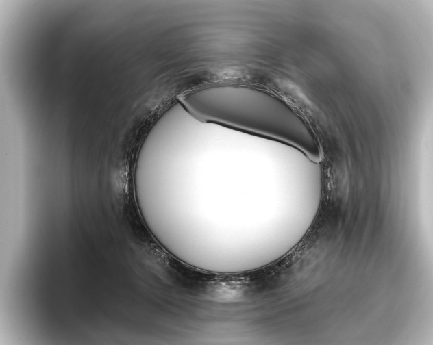 X0000096420368200801241008