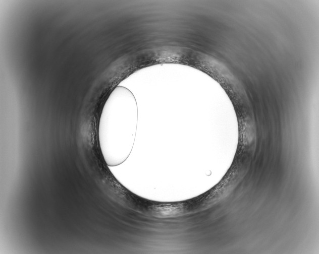 X0000096420370200801241008