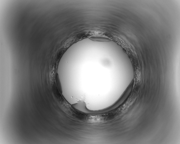 X0000096420376200801241008