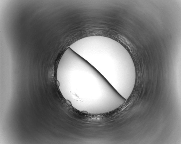 X0000096420377200801241008