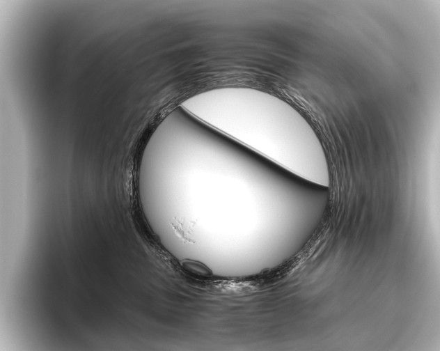 X0000096420379200801241008