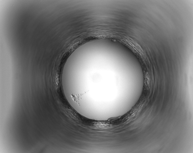 X0000096420380200801241008