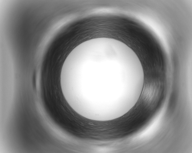 X0000096420382200801241008