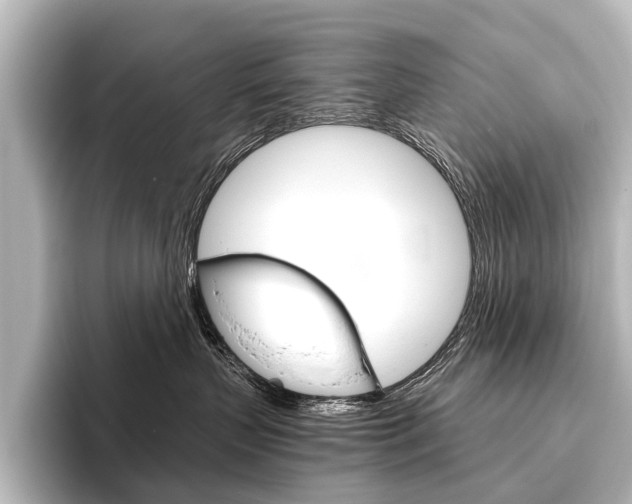 X0000096420383200801241008